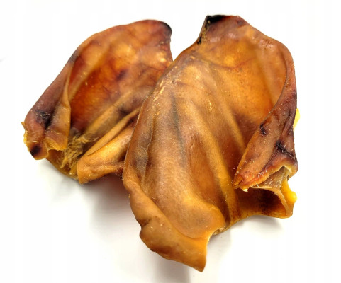 Ucho wieprzowe flaps 1 szt.