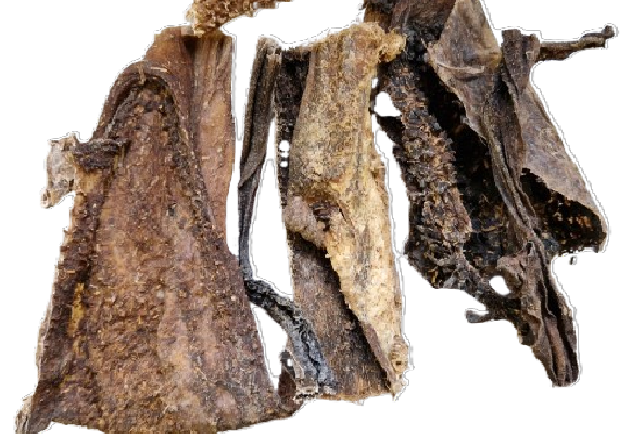 NATURALNE GRYZAKI PRZYSMAK DLA PSA ŻWACZ WOŁOWY SMAKOŁYK 100% PREMIUM 500G