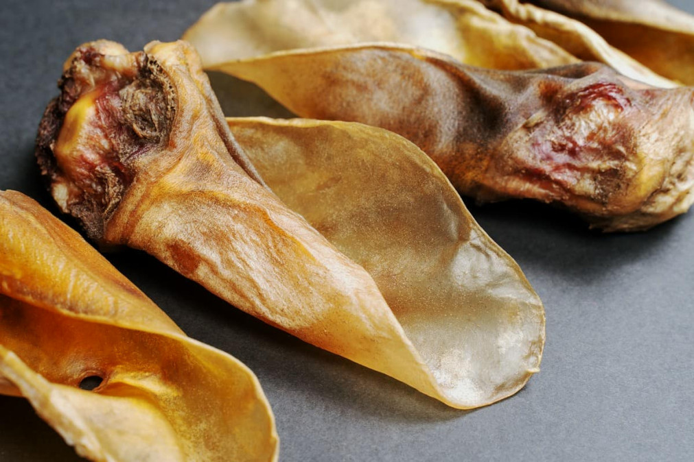 Naturalne gryzaki dla dużych psów – zdrowe nagrody